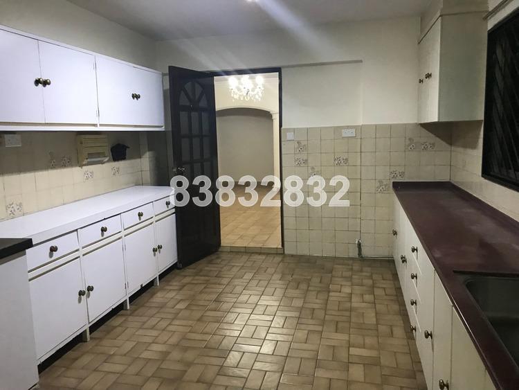 Serangoon Ville (Enbloc) (D19), Apartment #158111792